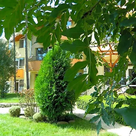 Family Privileg Σάνι Μπιτς